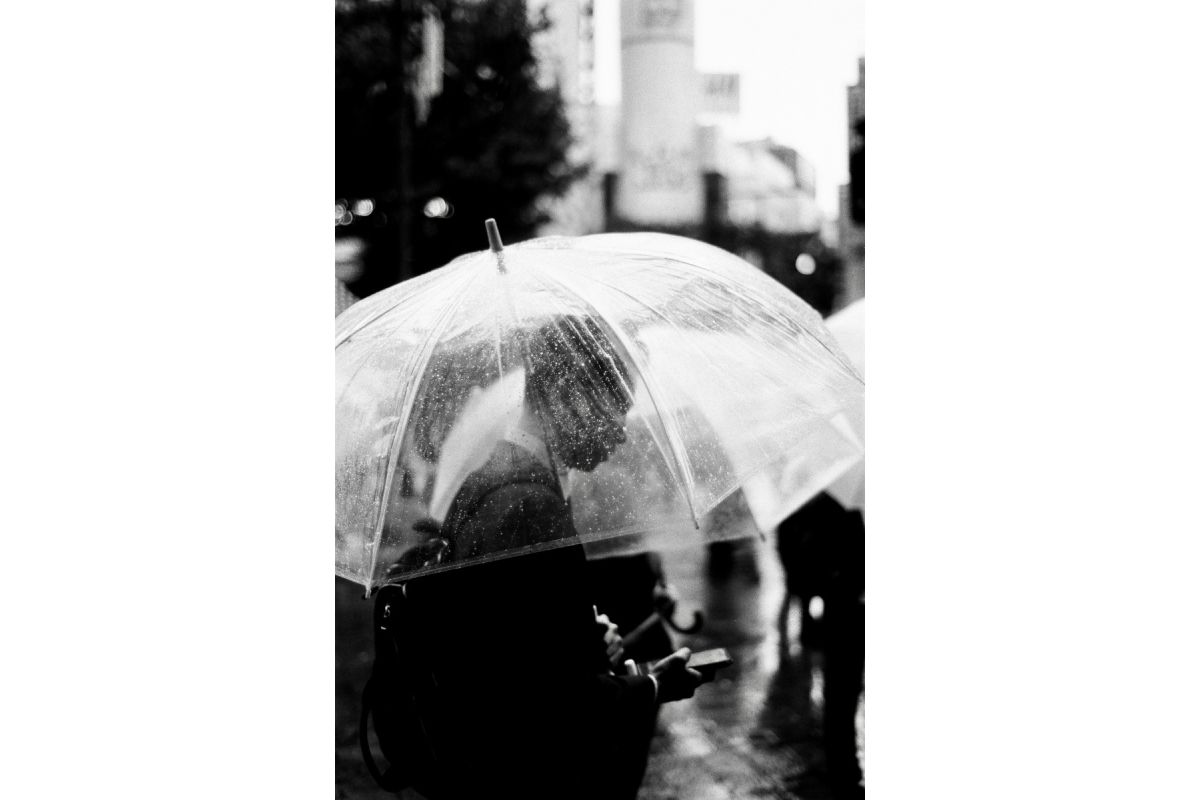 Фотопленка Lomography Earl Grey 100/36 3-pack