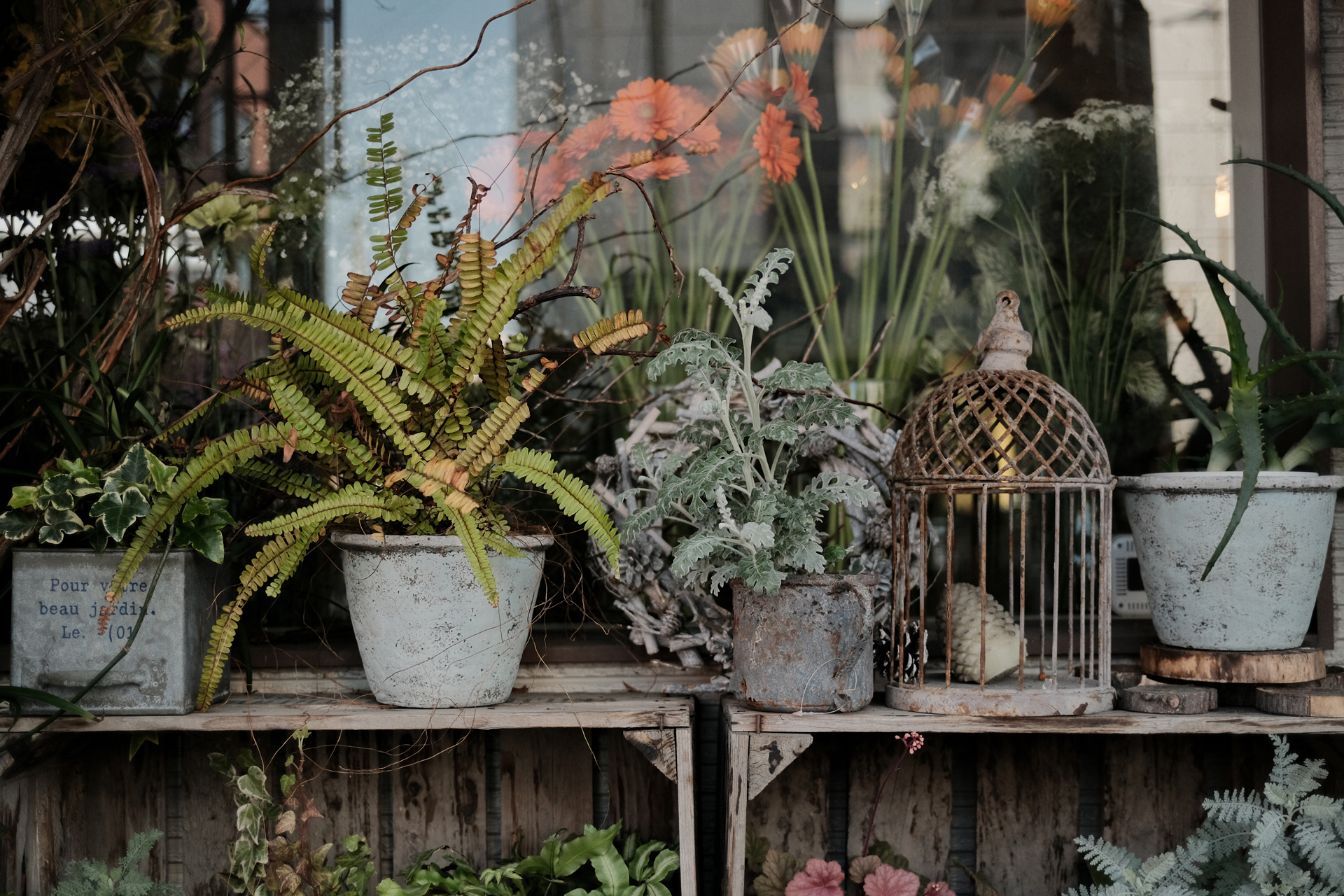 Объектив Voigtlander Ultron 27mm f/2 Fujifilm X, серебристый