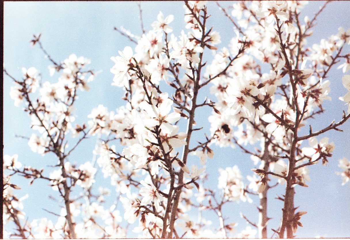 Фотопленка Lomography Lomochrome Metropolis XR 100-400 ISO, 120