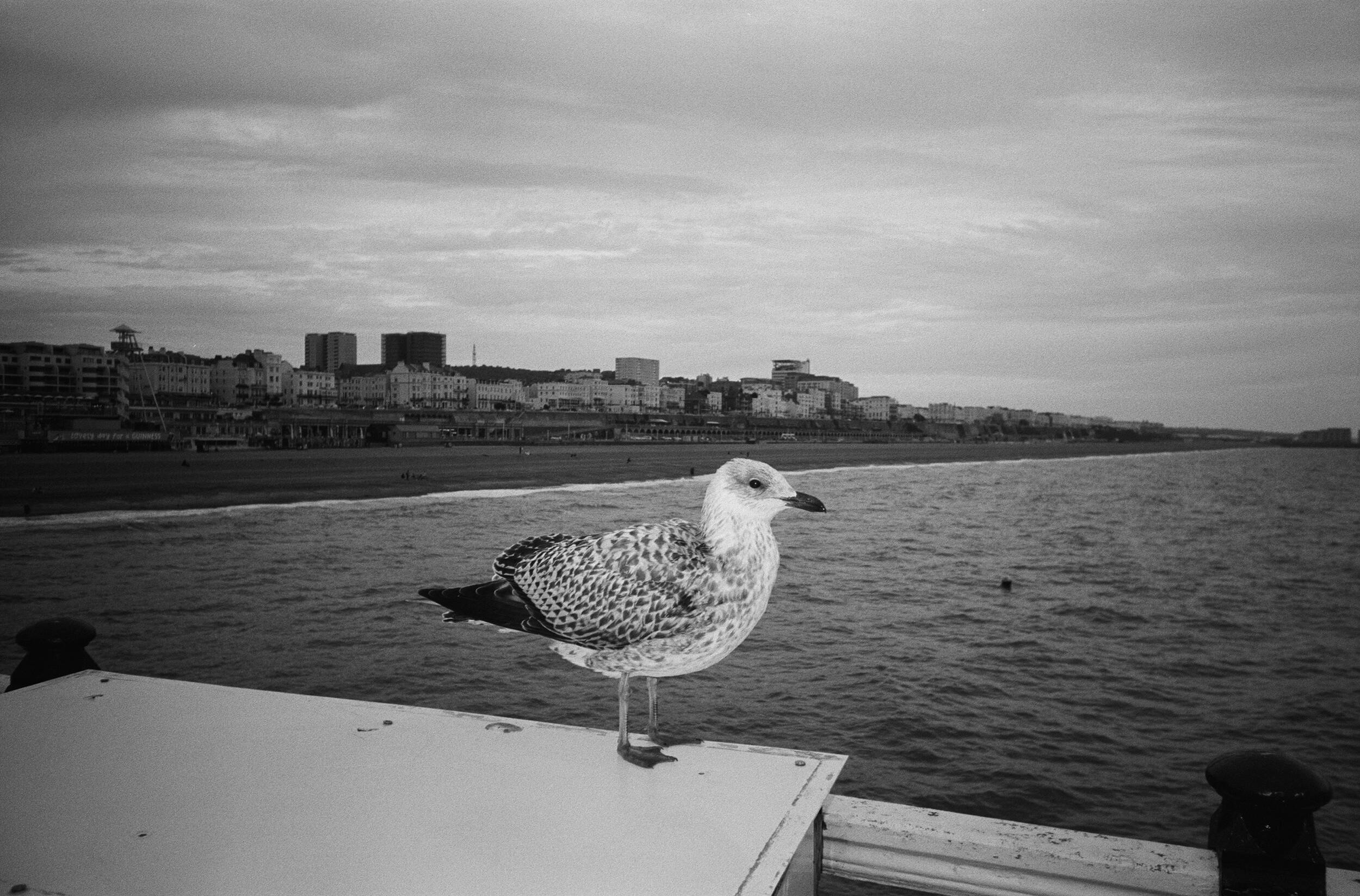 Компактный фотоаппарат Kodak Snapic A1 Ivory White