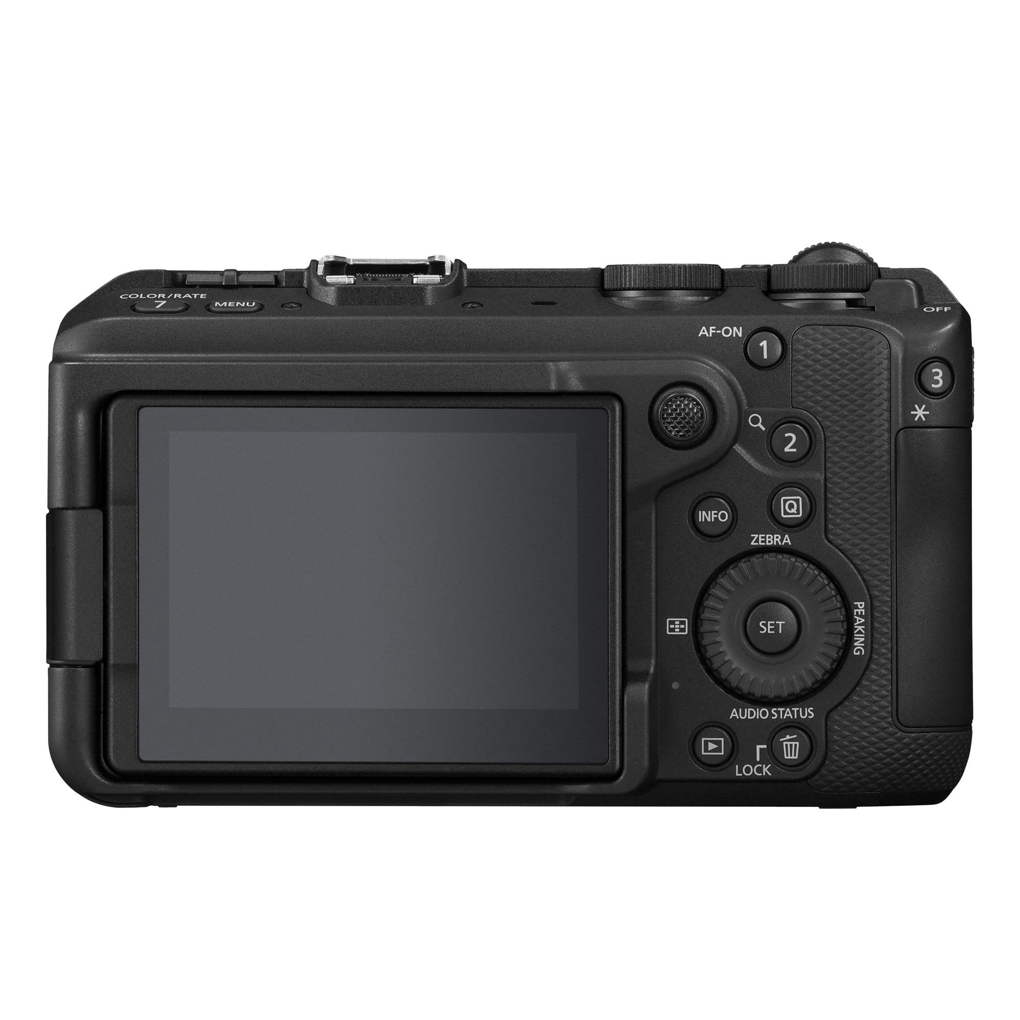 Беззеркальный фотоаппарат Canon EOS R6 V Body