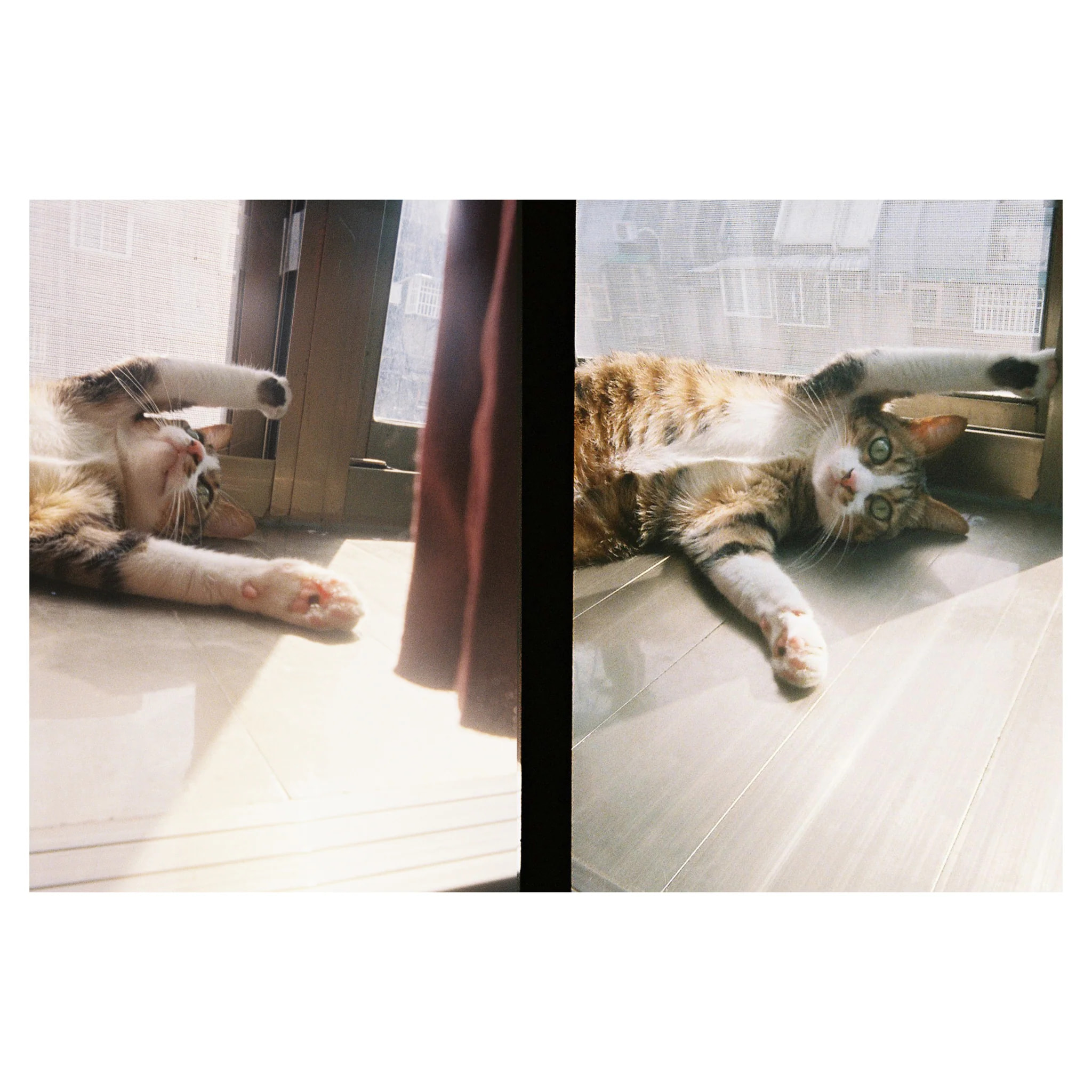 Компактный фотоаппарат Kodak Ektar H35 Sage, зеленый