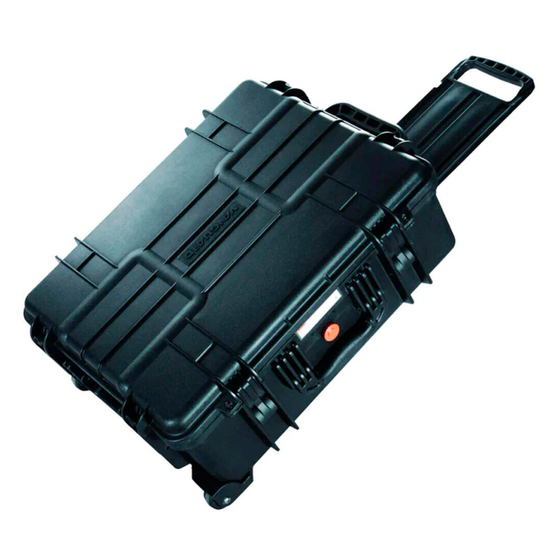 Жесткий кейс Vanguard Supreme 53D