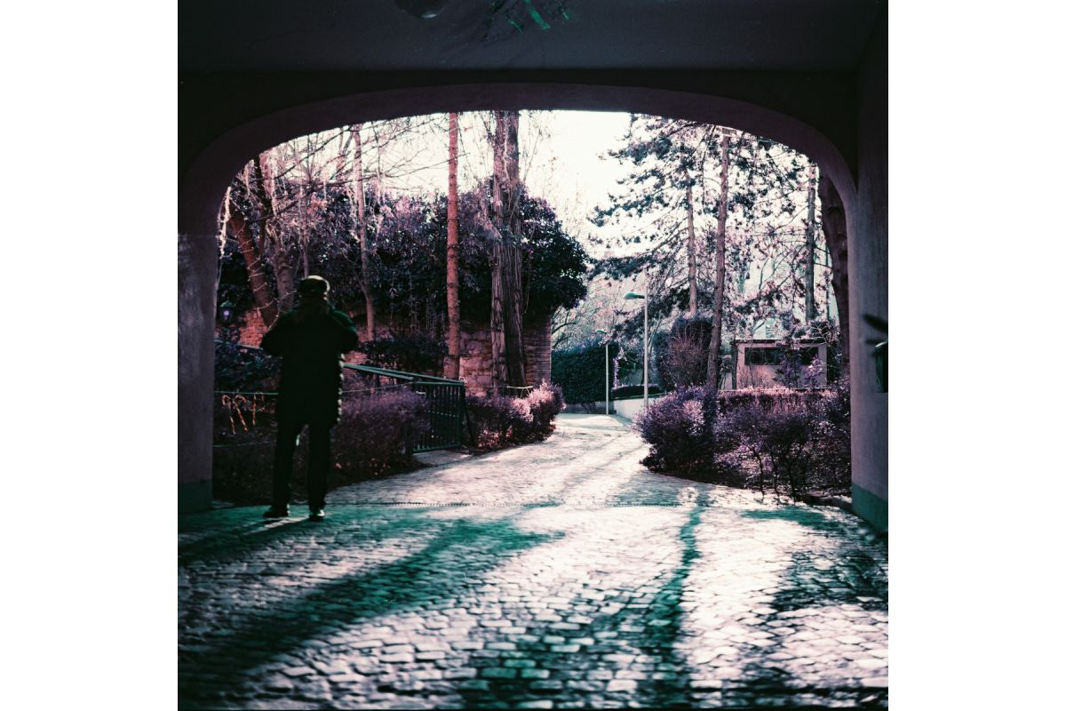 Фотопленка Lomography LomoChrome Purple Petillant Edition 120, ISO 100-400