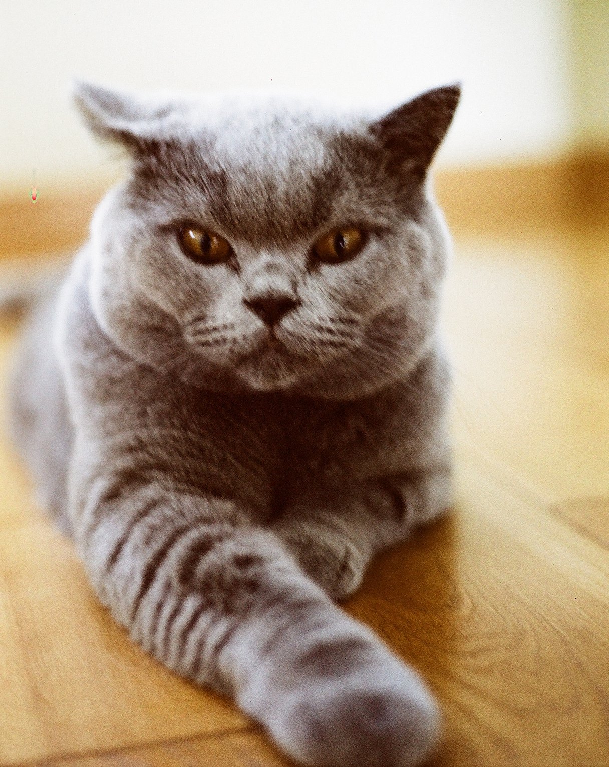 Фотопленка Lomography Lomochrome Metropolis XR 100-400 ISO, 120