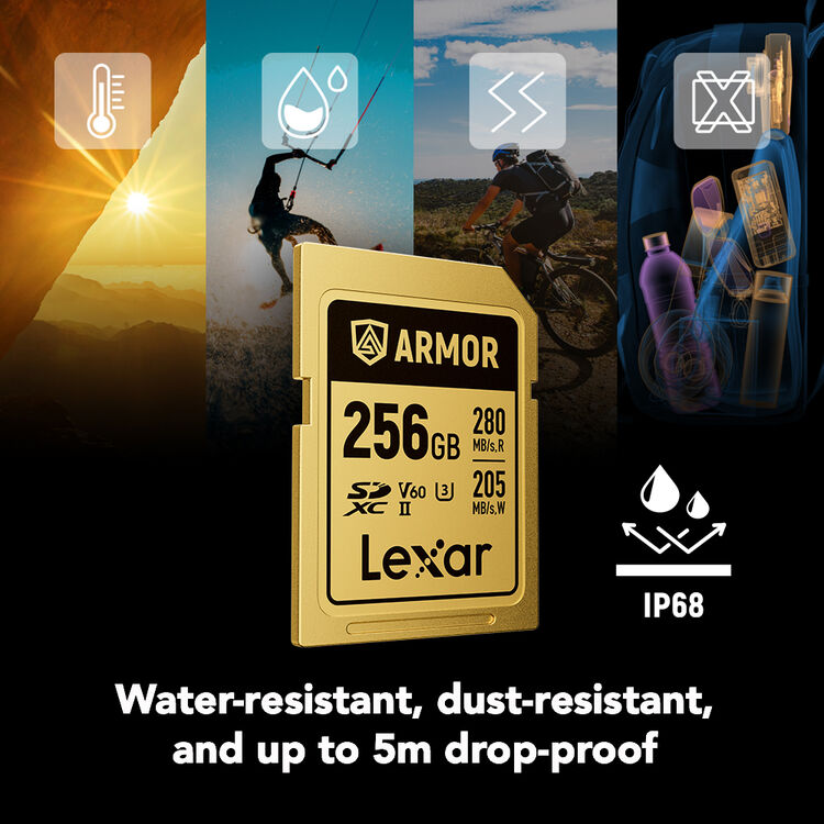 Карта памяти Lexar SDXC 256GB ARMOR Gold C10 V60 U3 (R280/W205 MB/s)
