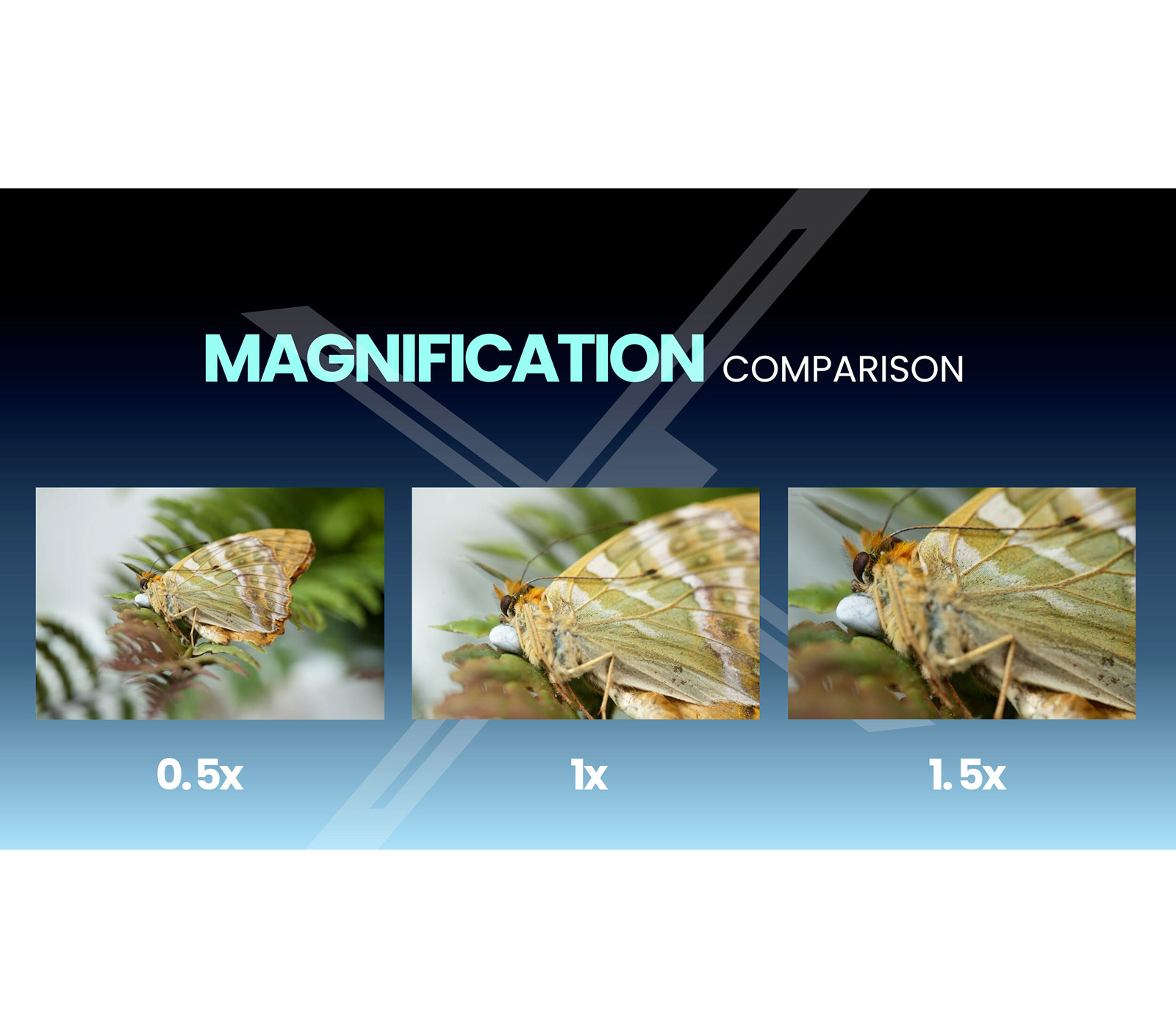 Объектив Laowa 180mm f/4.5 1.5x Ultra Macro APO Nikon Z