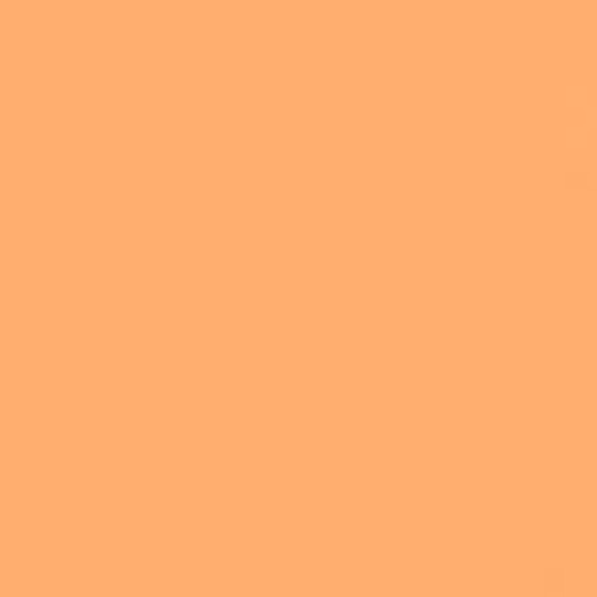 Фон FST пластиковый, 100 х 120 см, матовый, персиковый