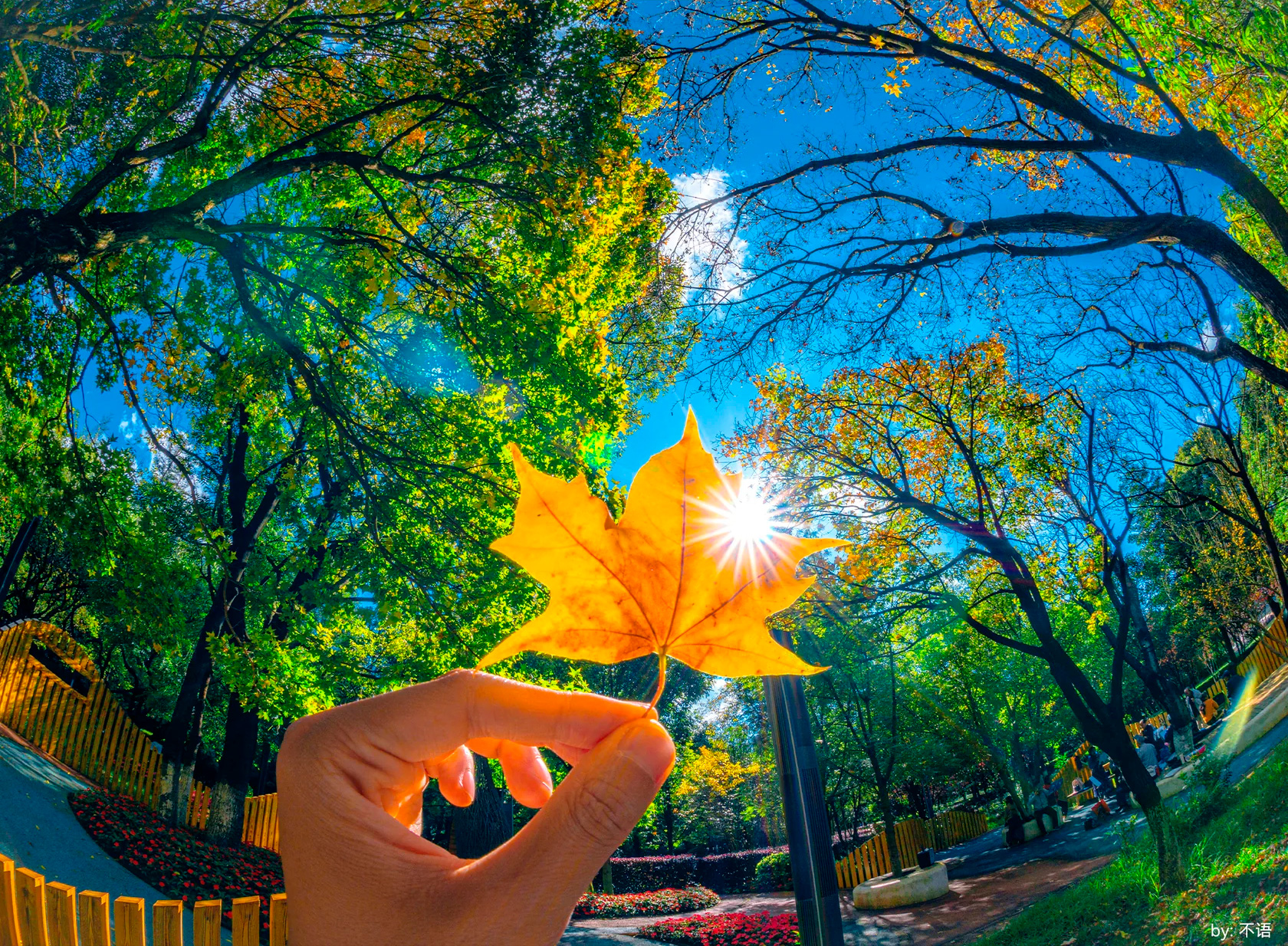 Объектив 7Artisans 6mm f/2 Fisheye для Fujifilm X-Mount