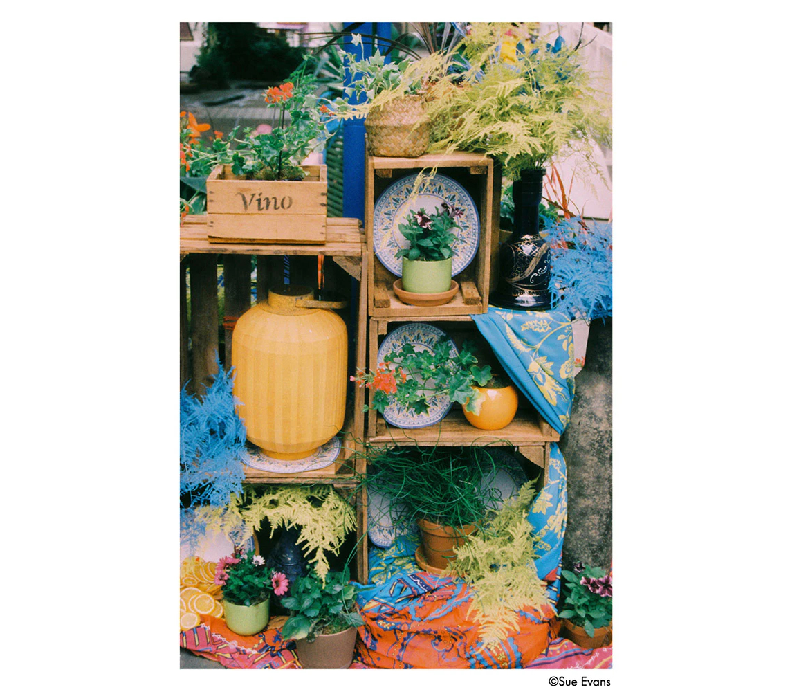 Фотопленка Harman Phoenix II 200 Color Film, 120 формат