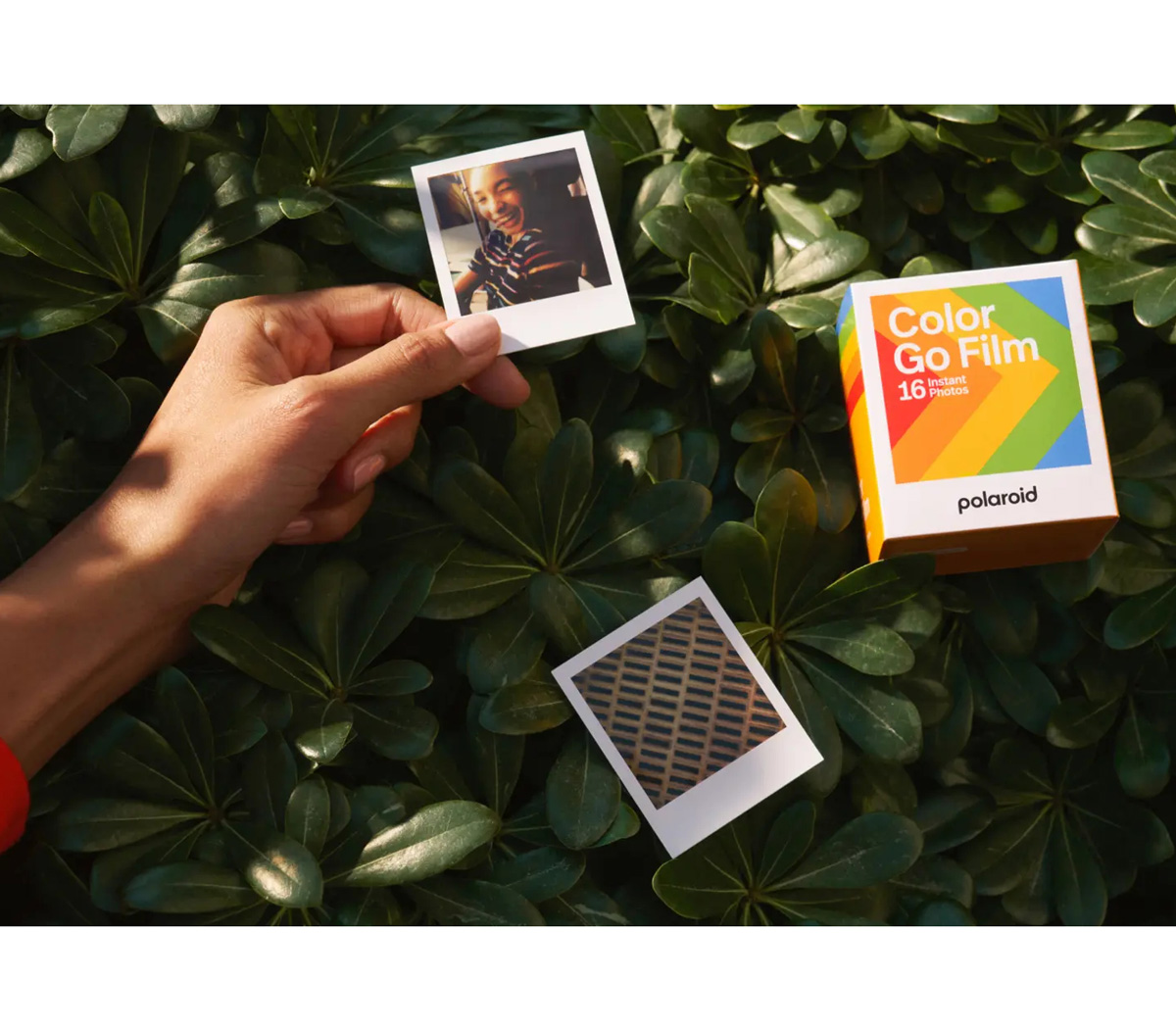 Картридж Polaroid Go Color Film Double Pack, 2 х 8 снимков