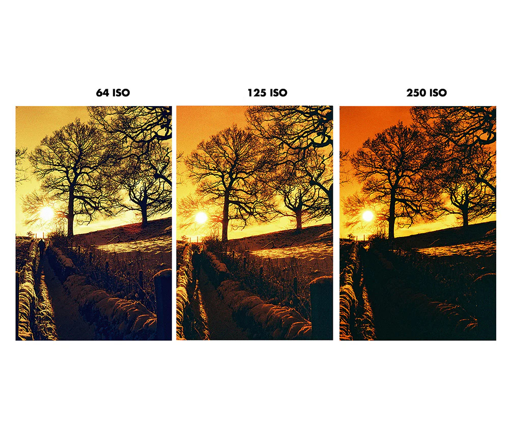 Фотопленка Harman RED 125, 135 формат, 36 кадров