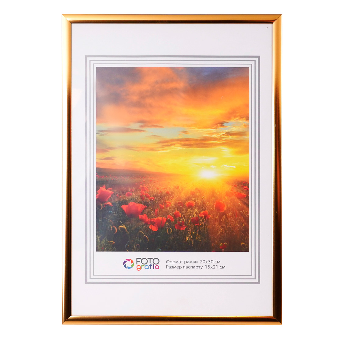 Фоторамка Fotografia 20x30 см, FFAL-8205 алюминий, золото