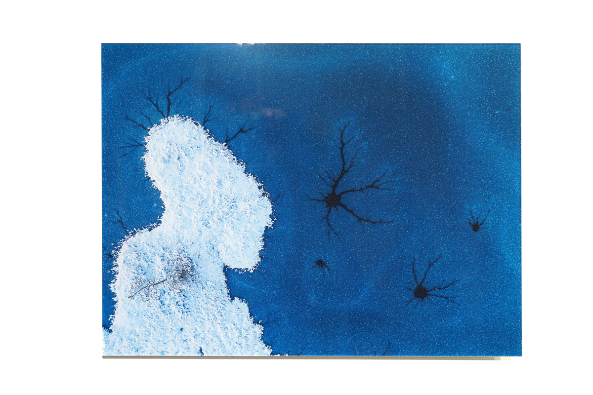 Фотография Постигая вселенную, пластификация 60х80 см