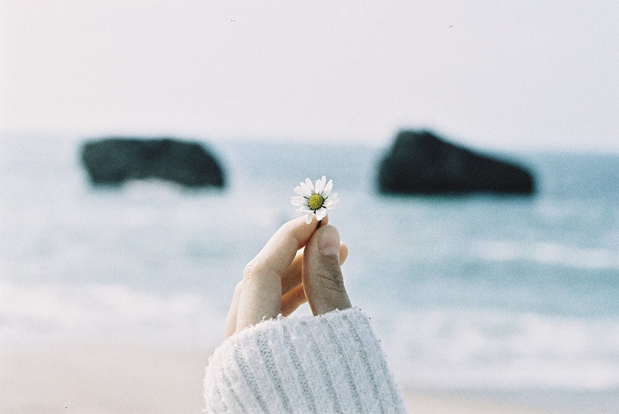 Фотопленка Lomography Lomochrome Metropolis XR 100-400 ISO, 120