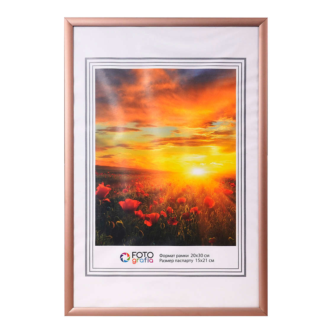 Фоторамка Fotografia 20x30 см, алюминий, бронзовая (FFAL-8305)