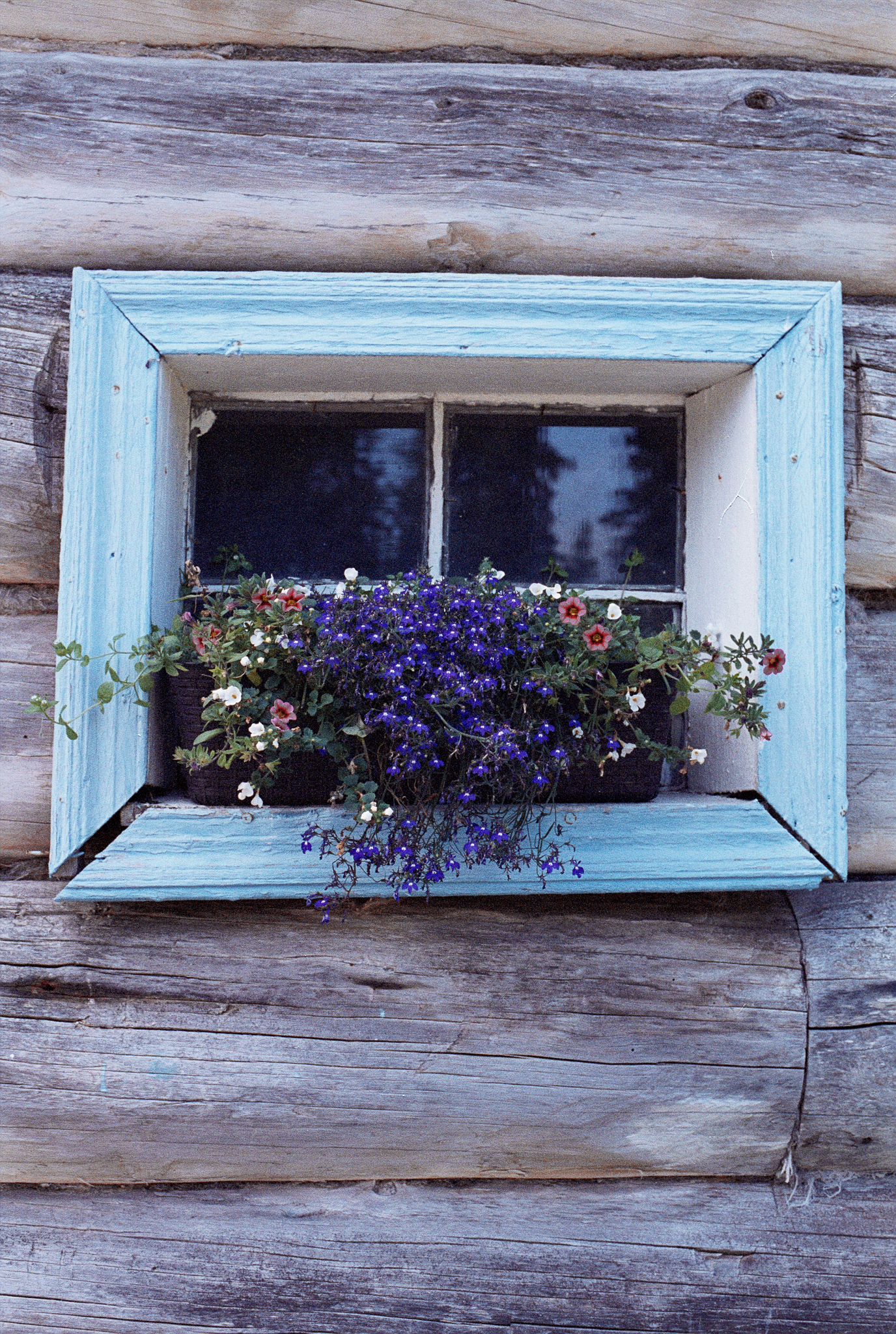 Фотопленка Silberra COLOR100 C-41 135, 36 кадров