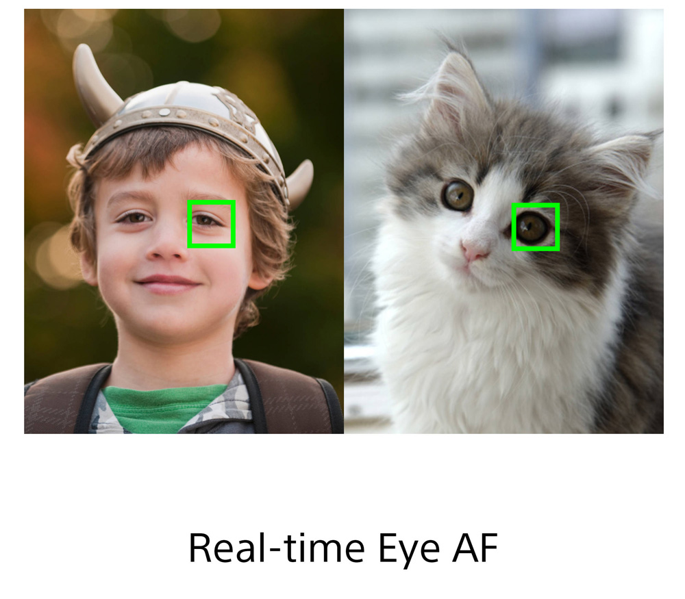 Компактный фотоаппарат Sony RX100 VII (DSC-RX100M7)