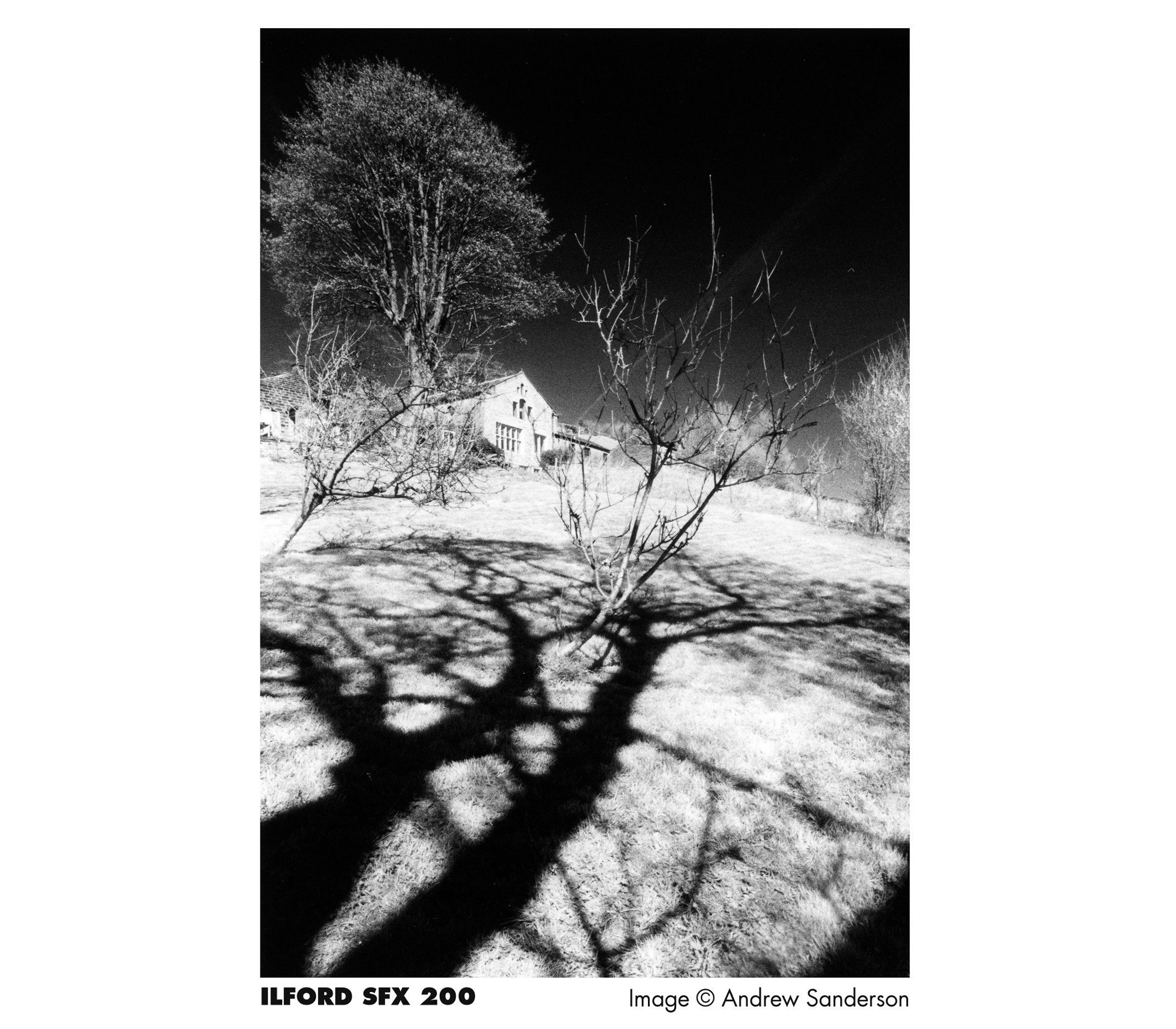 Фотопленка Ilford SFX 200, 120 формат (уцененный)