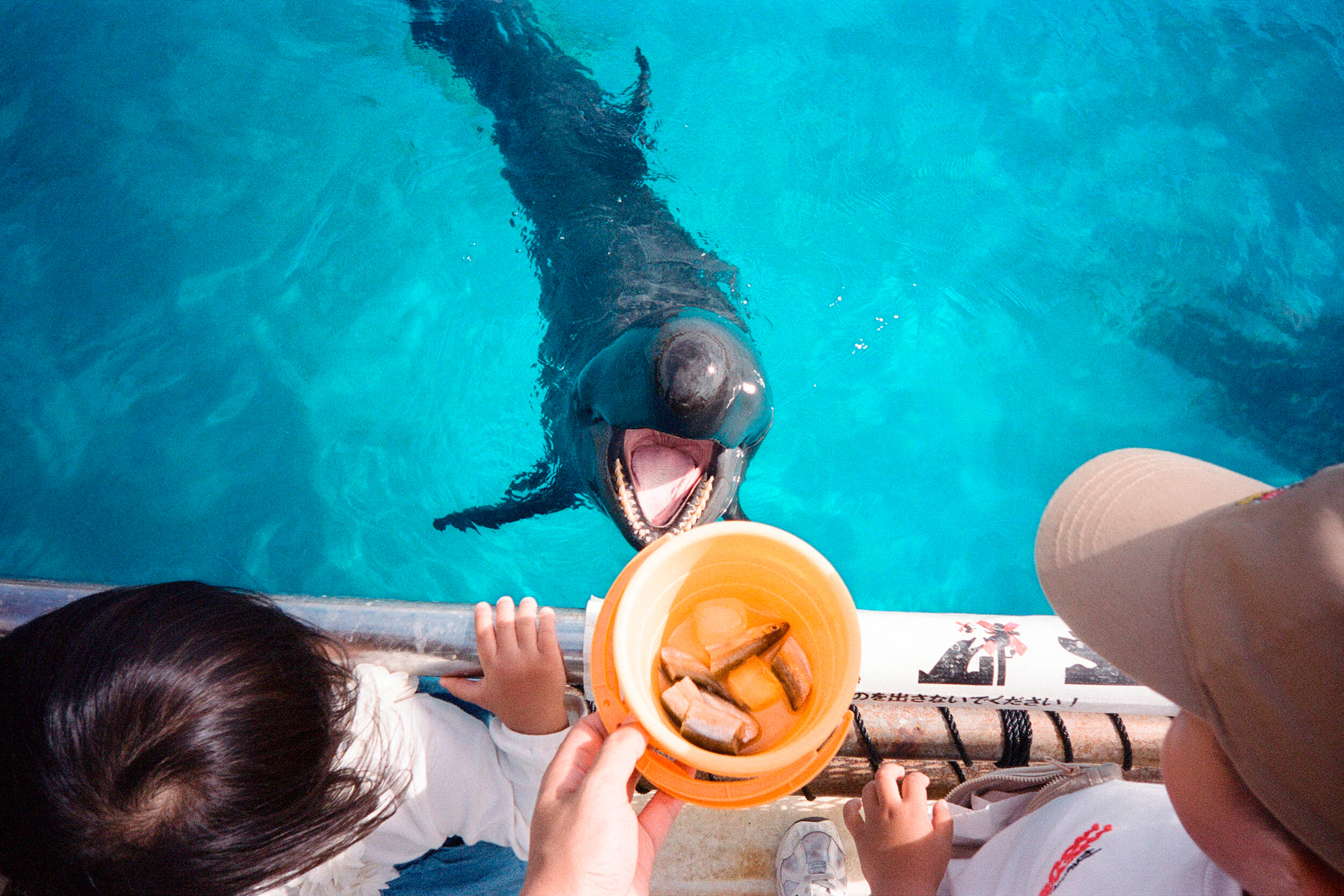 Компактный фотоаппарат Kodak Snapic A1 Ivory White