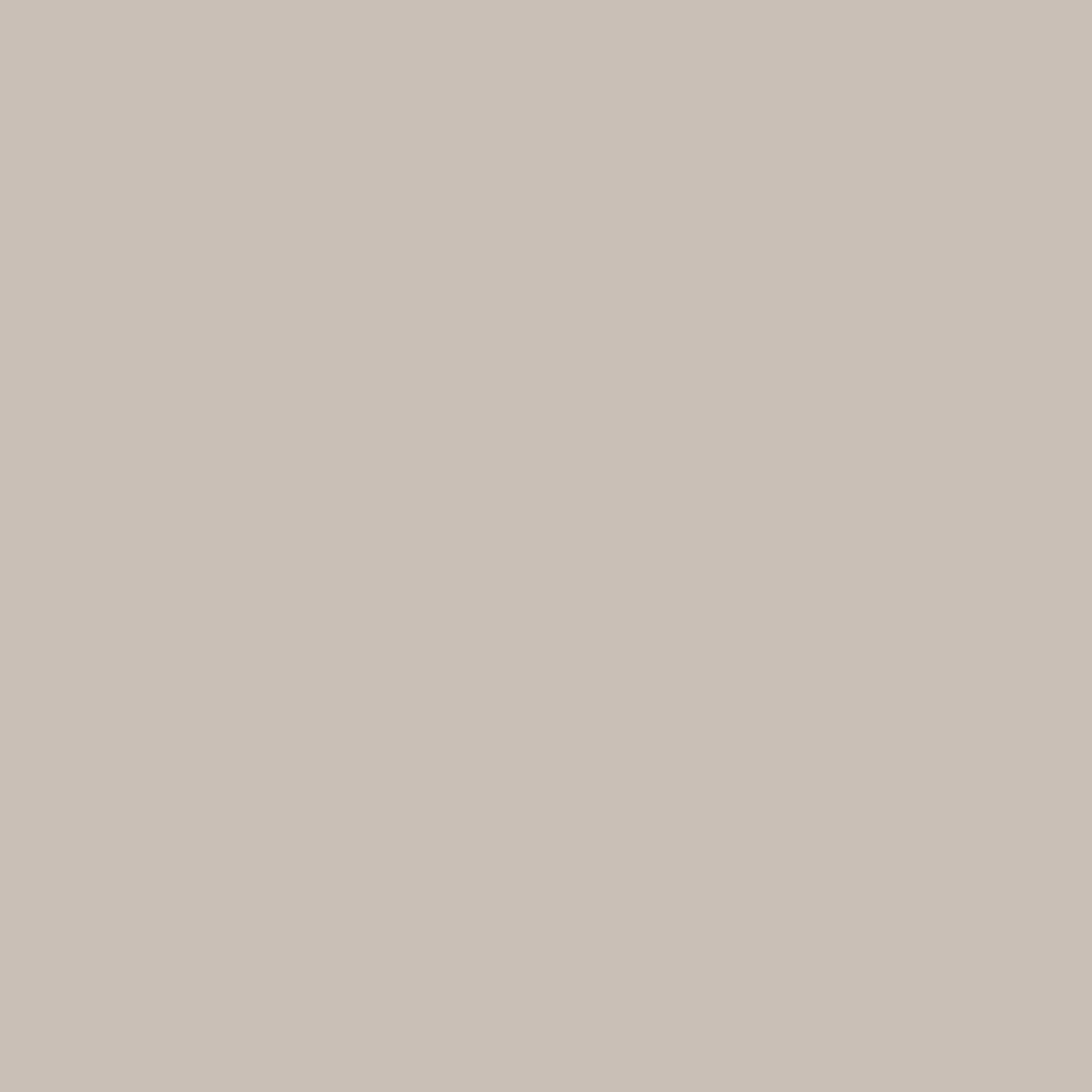 Фон VIBRANTONE 07 Steel Grey, бумажный, 2.1 x 11 м, серый