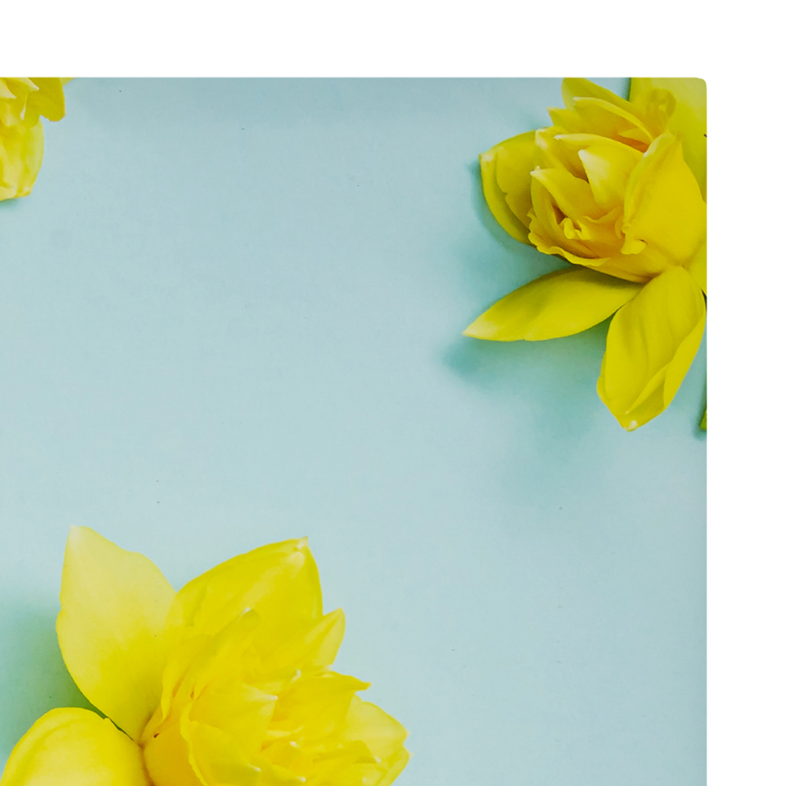 Фотоальбом Fotografia традиционный, 30х30 см, 30 листов, «Цветы», FA-BB30 - 354