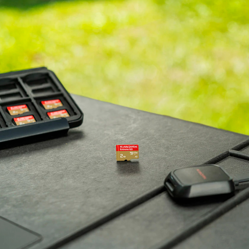 Карта памяти SanDisk MicroSDHC 32GB Extreme GO UHS-I V30 A1 100/60 МБ/с