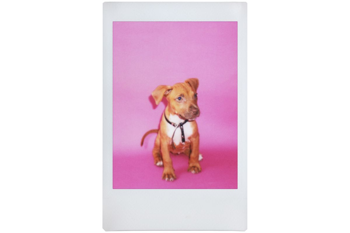 Фотоаппарат моментальной печати Lomography LOMO'Instant Square Glass New Black Combo