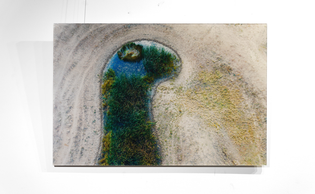 Фотография Зеленый диплодок, пластификация 60х90 см