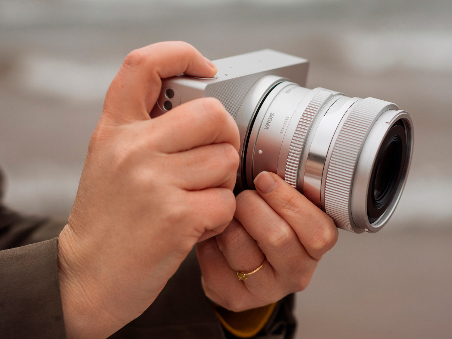 Беззеркальный фотоаппарат Sigma BF Body, серебристый