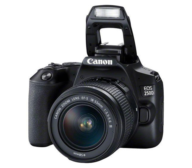 Зеркальный фотоаппарат Canon CANON EOS 250D Kit Black + EF-S 18-55 DC (уцененный)