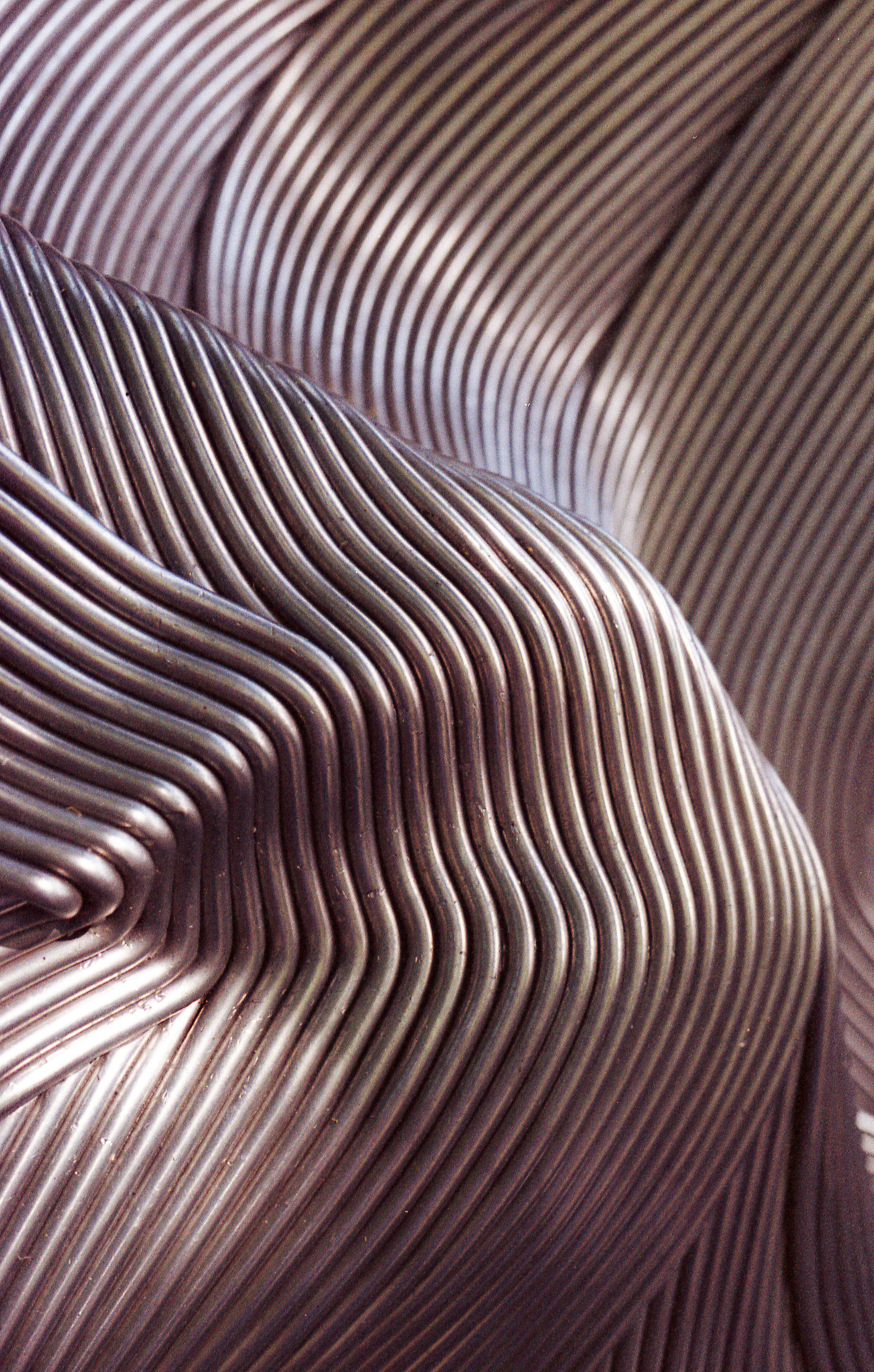 Фотопленка Silberra COLOR100 C-41 135, 36 кадров