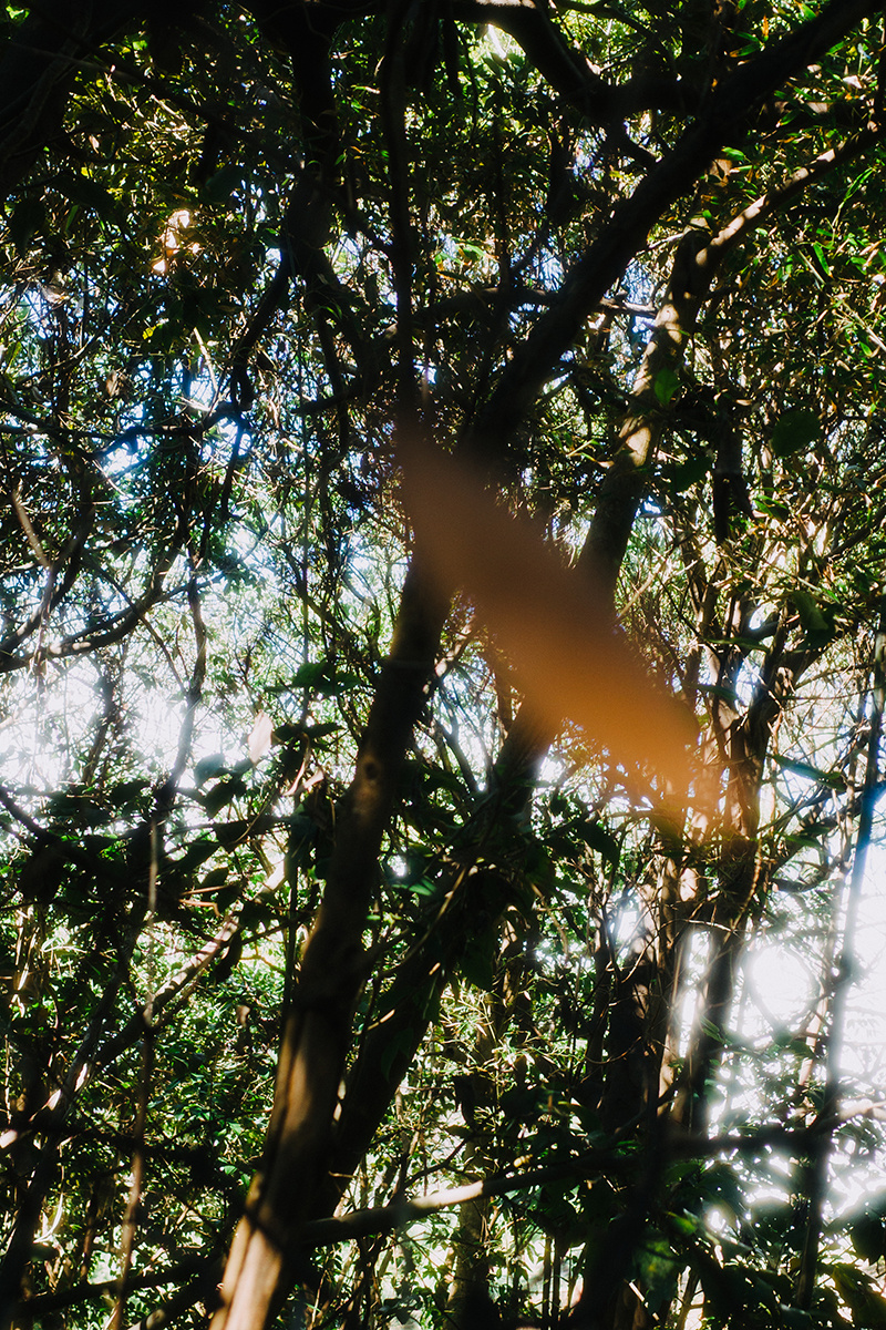 Компактный фотоаппарат Ricoh GR IV HDF