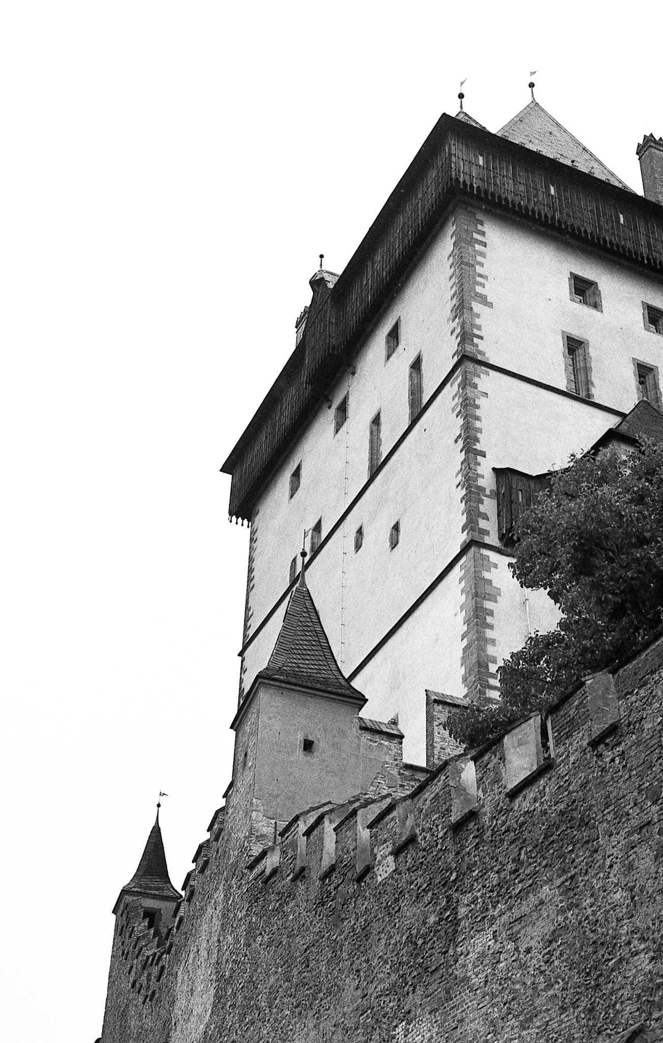 Фотопленка Silberra PAN 100, 36 кадров