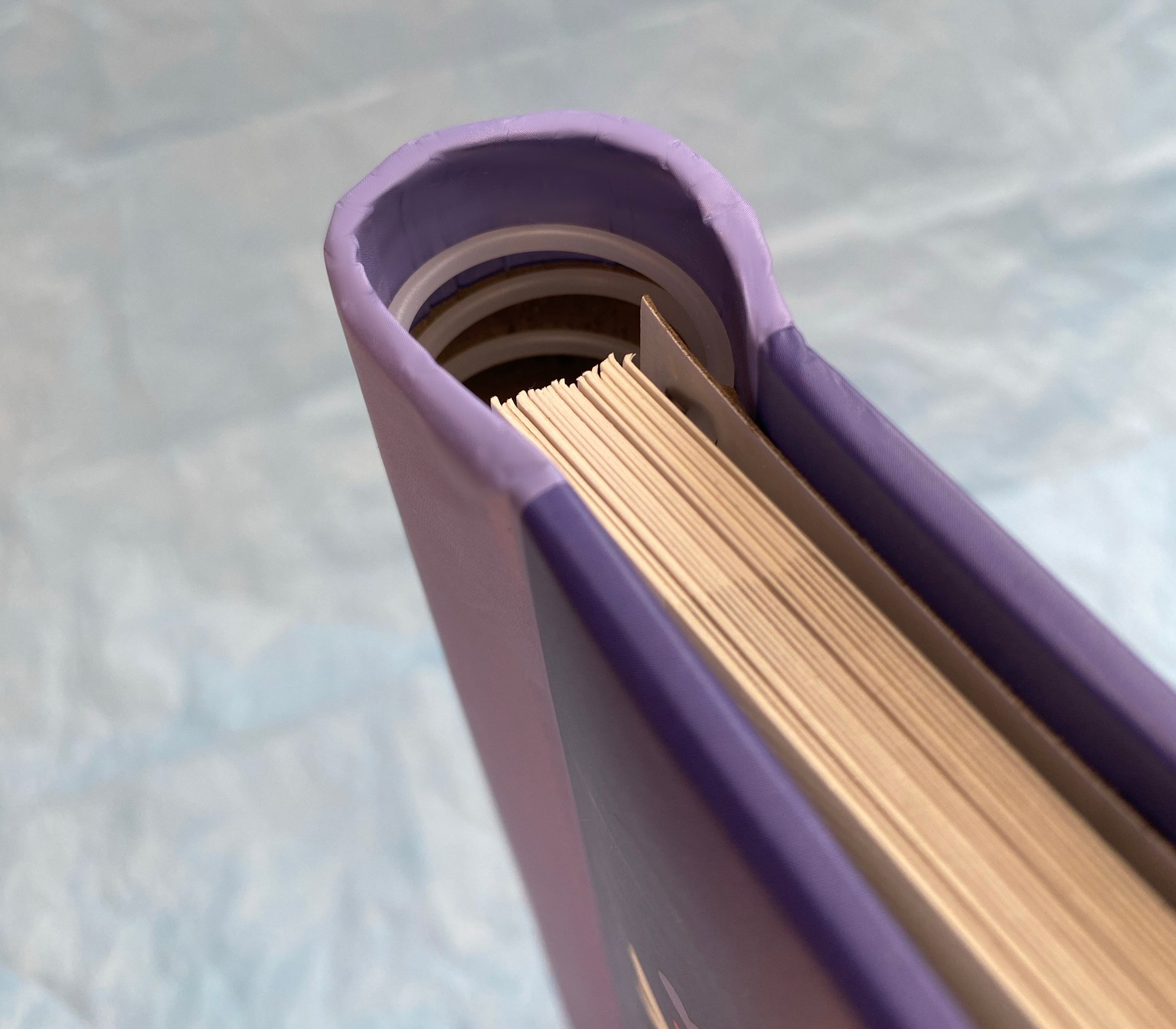 Фотоальбом Полином 20 листов 23х28 см, магнитный, «SPb city art: violet»