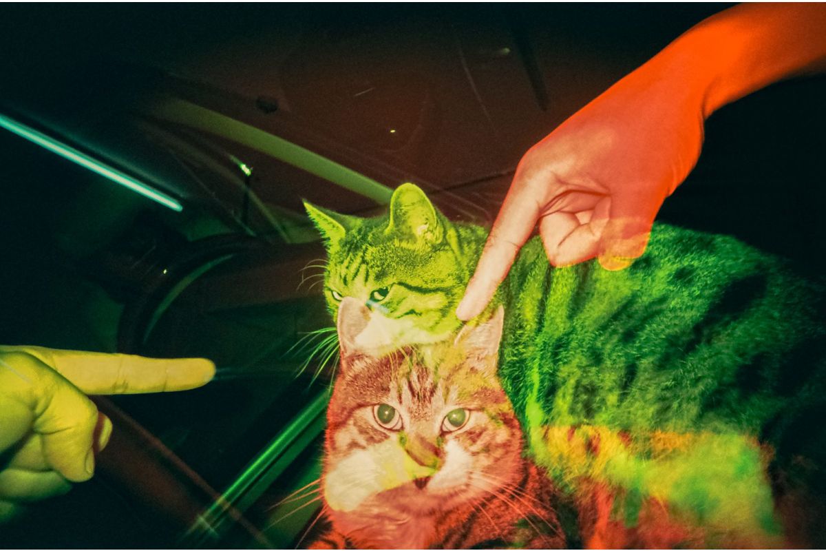 Фотоаппарат Lomography LomoApparat 21mm Wide-angle Camera Fluffy Omelet