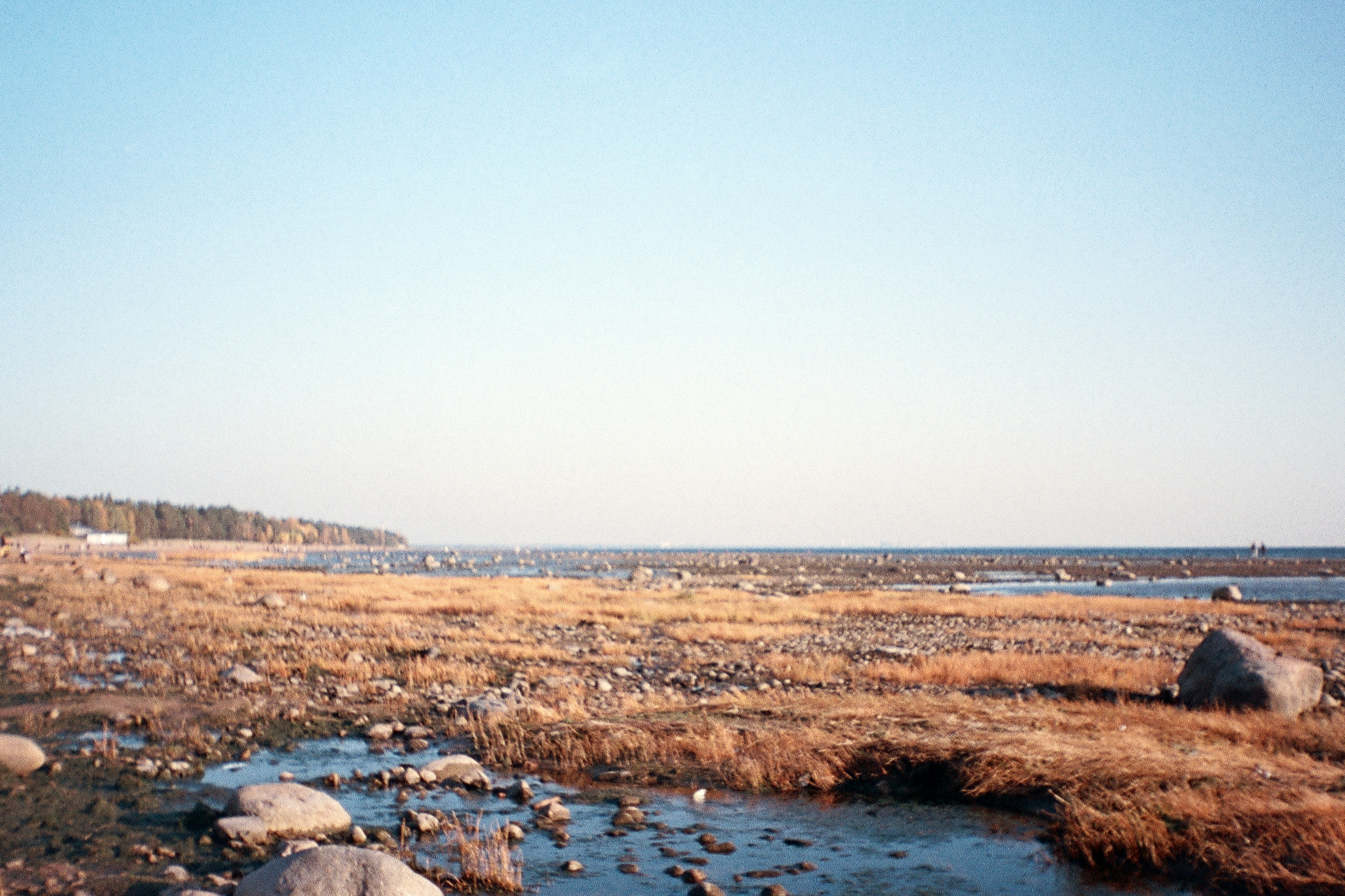 Фотопленка Silberra COLOR160 C-41 135, 36 кадров