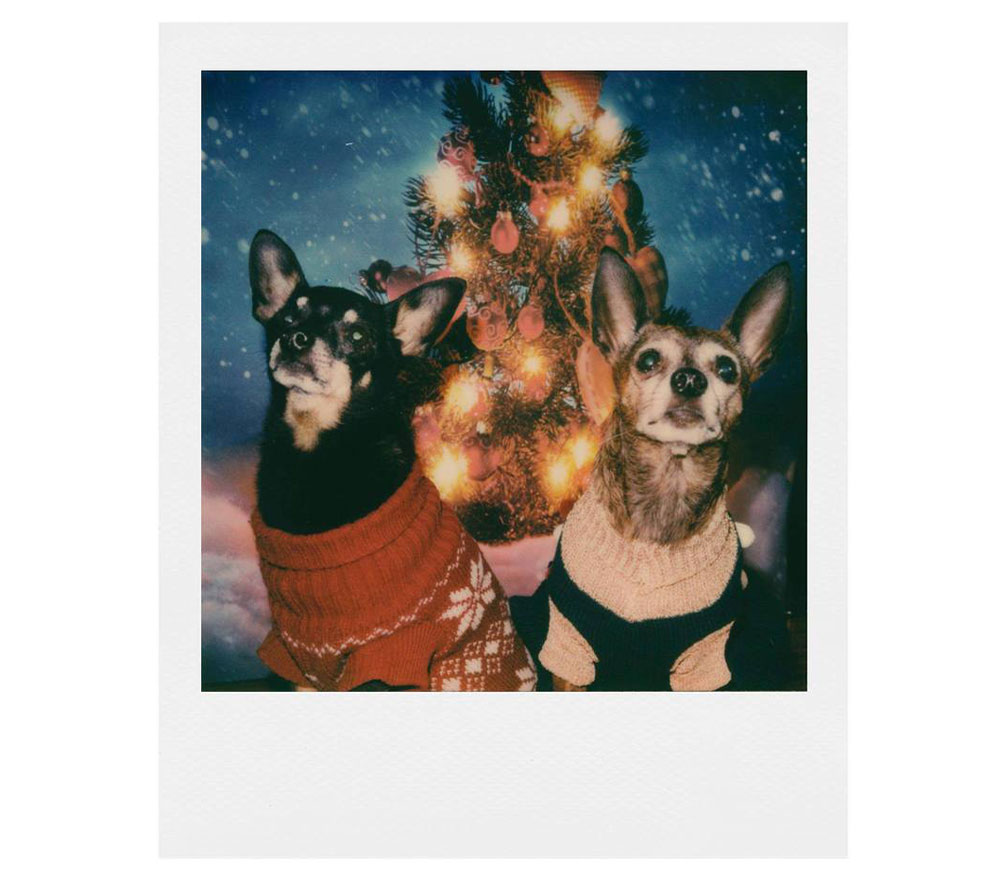 Картридж Polaroid 600 Color Film, 8 кадров (уцененный)