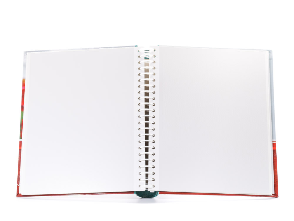 Фотоальбом Fotografia магнитный 23х28 см, 30 листов, «Цветы», FA-SA30-342