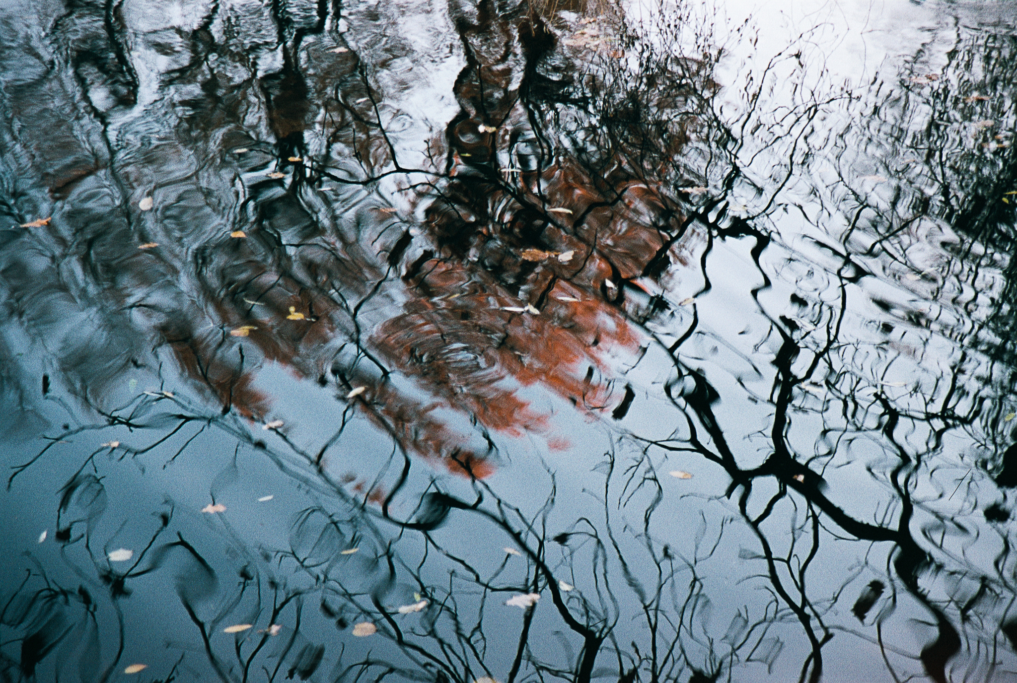 Фотопленка Silberra COLOR160 C-41 135, 36 кадров