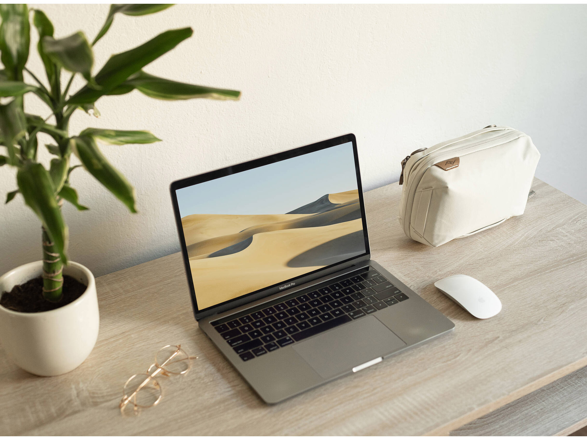 Чехол-органайзер Peak Design Tech Pouch v3, цвет Bone, белый
