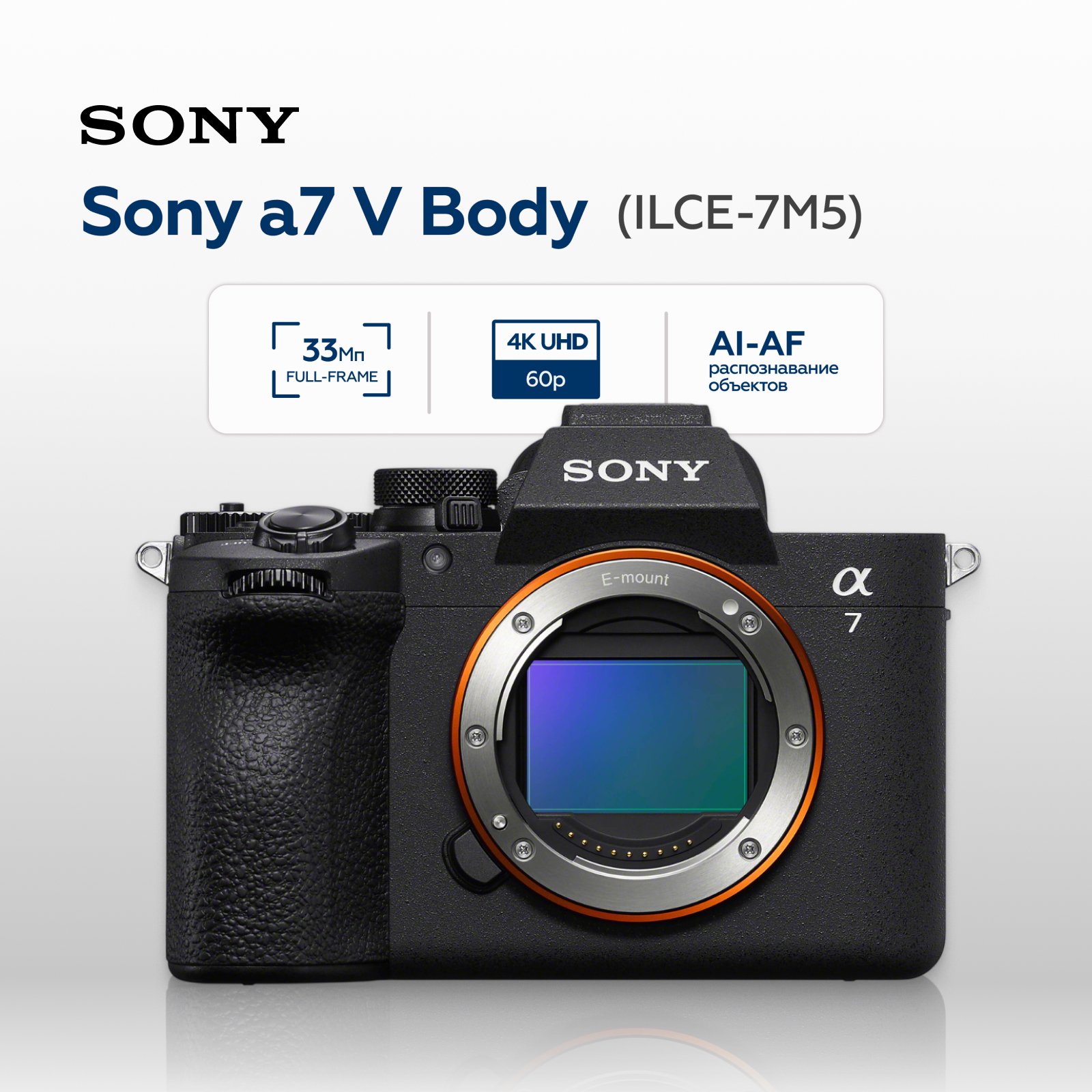Беззеркальный фотоаппарат Sony a7 V Body