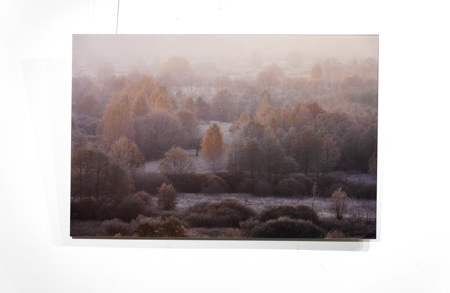 Фотография Первые заморозки, пластификация 60х90 см