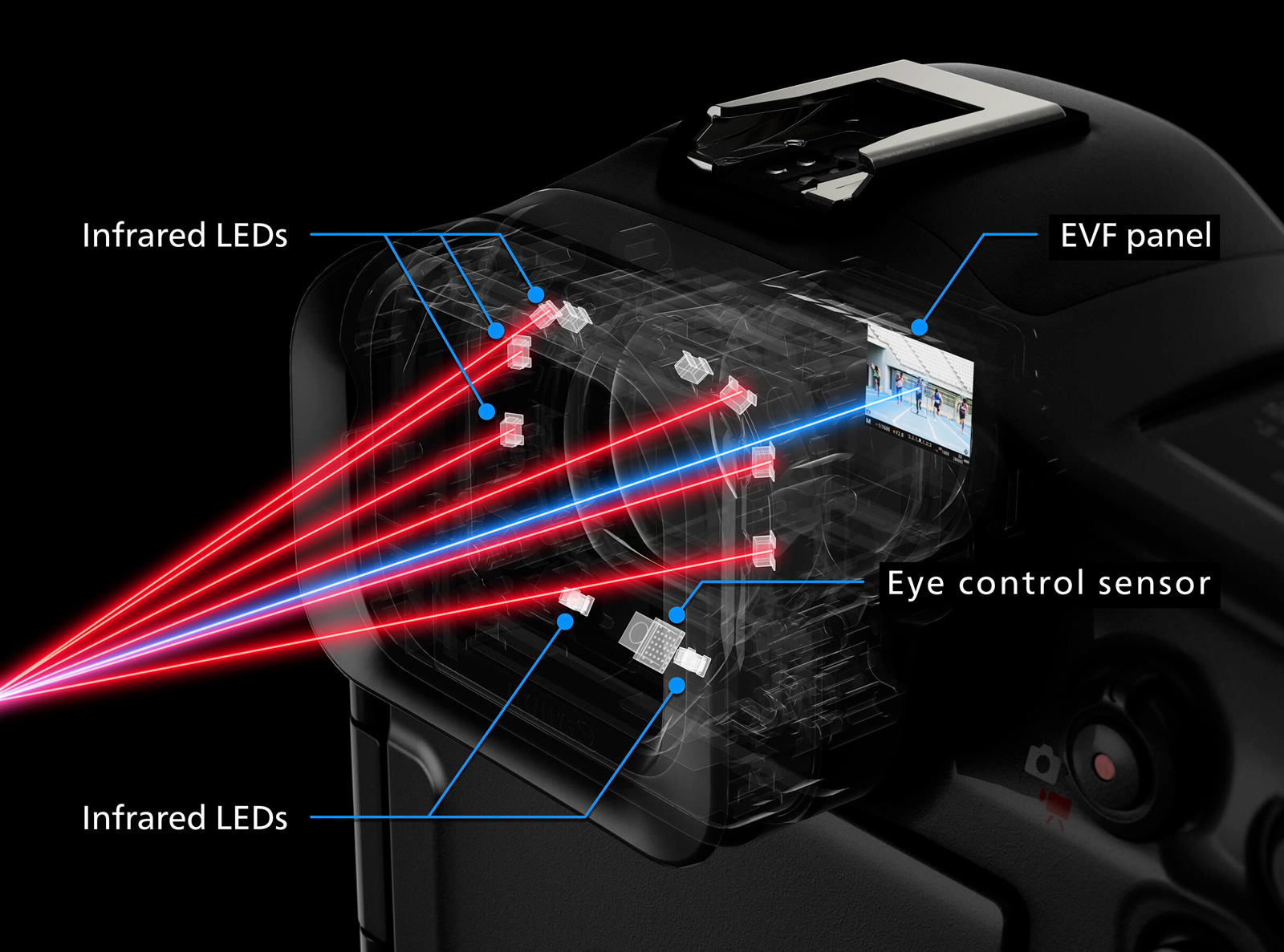 Беззеркальный фотоаппарат Canon EOS R1 Body