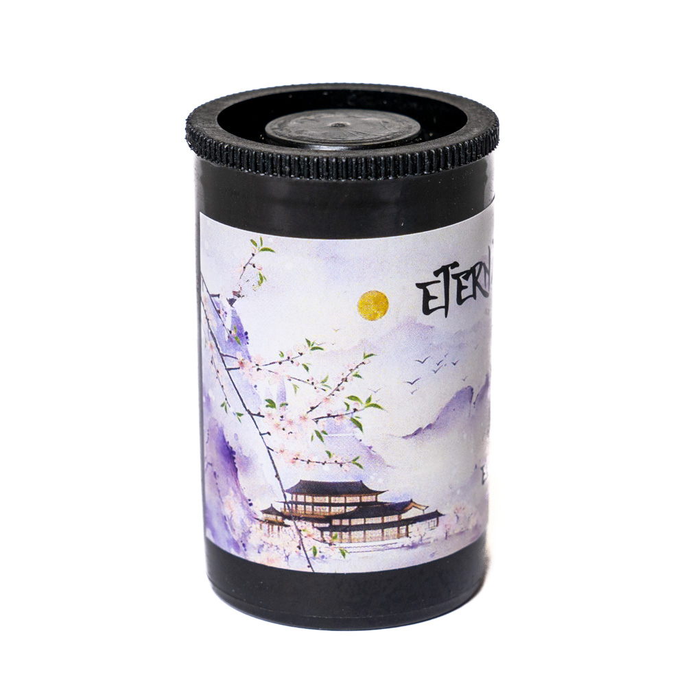 Фотопленка SFL Eterna 400T, 135 формат, 12 кадров (expired)