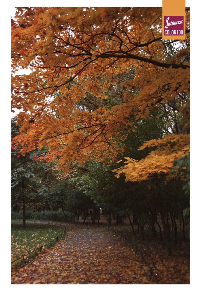 Фотопленка Silberra COLOR100 C-41 135, 36 кадров