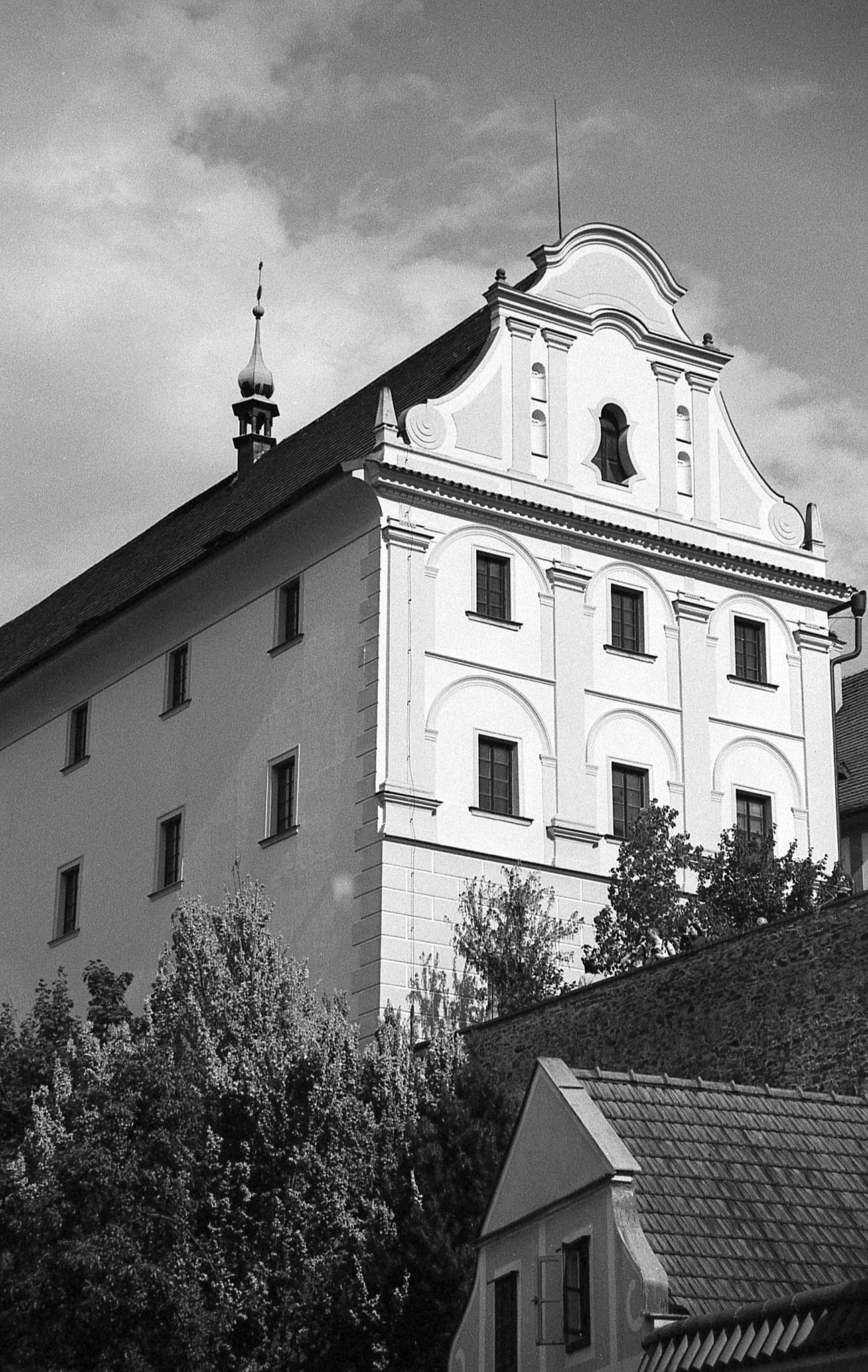 Фотопленка Silberra PAN 100, 24 кадра