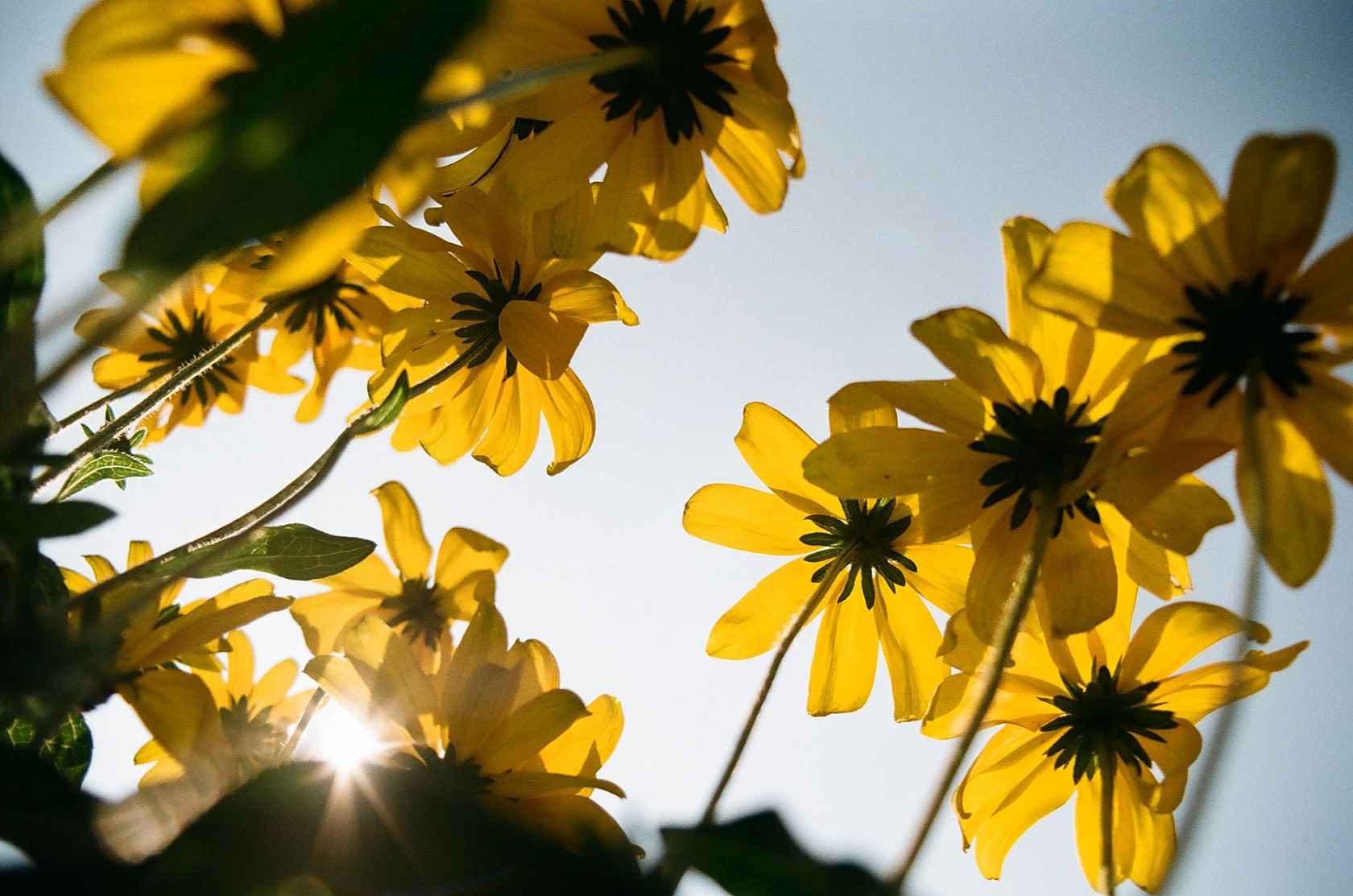 Фотопленка Kodak Kodacolor 100 135/36