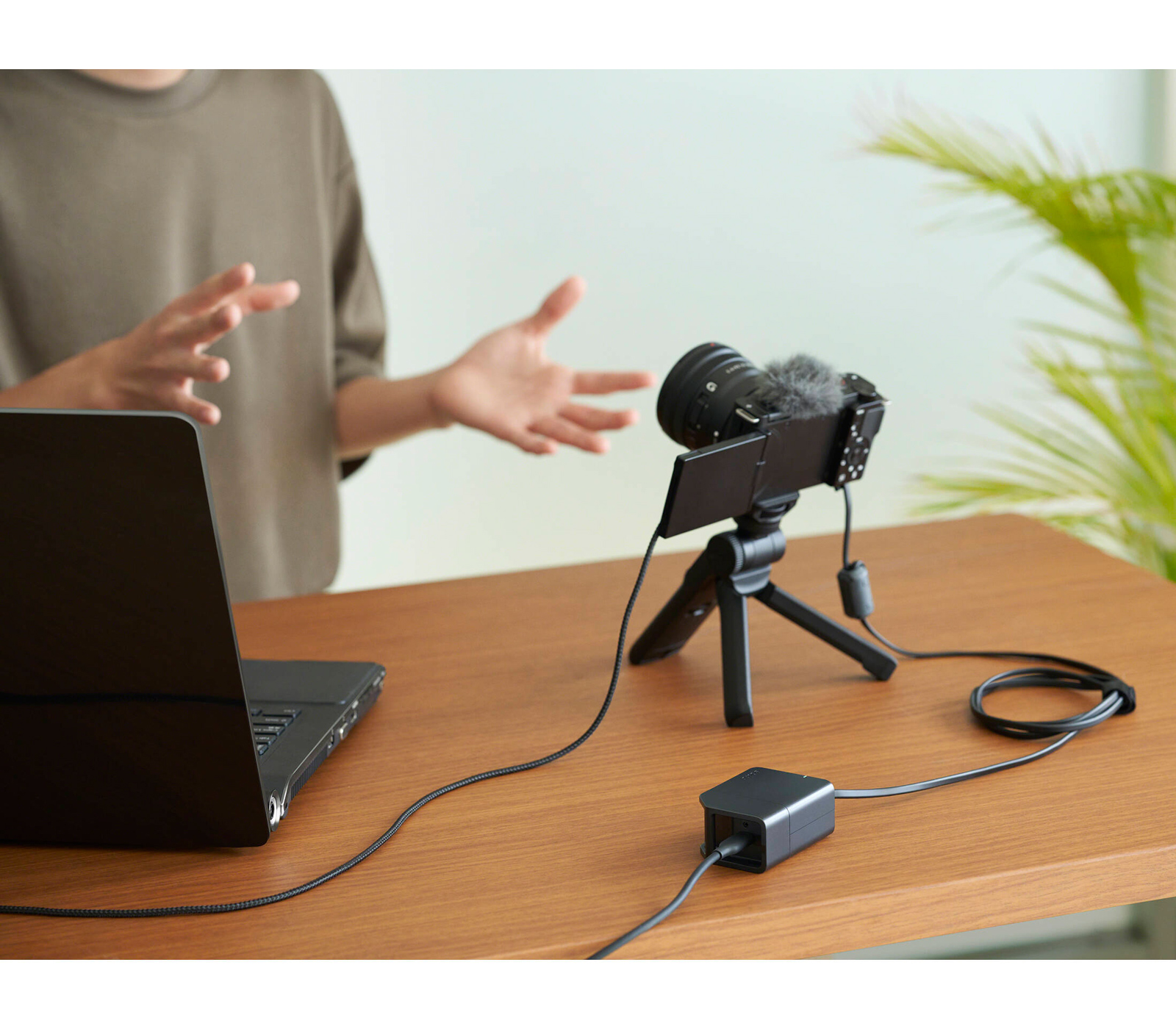 Адаптер питания Sony DC-C1 вместо NP-FW50 и NP-FZ100