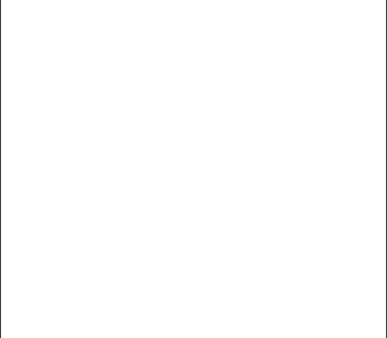 Фон FST пластиковый 100 х 120 белый матовый/глянцевый